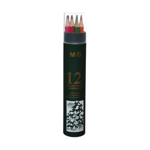 CRAYON DE COULEUR MG BOITE VERTE 12CL AWP34363