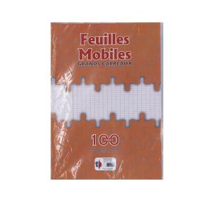 FEUILLE MOBILE A4 ARTYS 100P/K