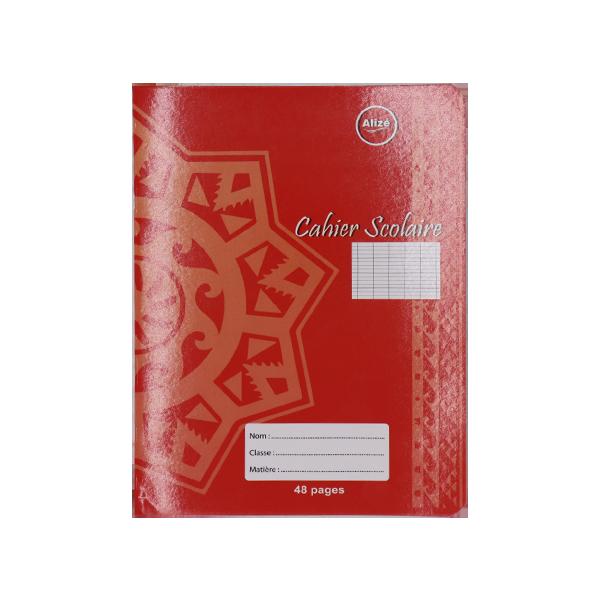 CAHIER 17*22 48P SEYES ALIZE A0112123/SO