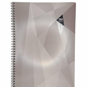 CAHIER SPIRAL A4 SEYES 100P CASINO AVENIR