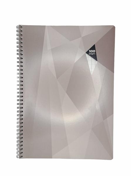 CAHIER SPIRAL A4 SEYES 100P CASINO AVENIR