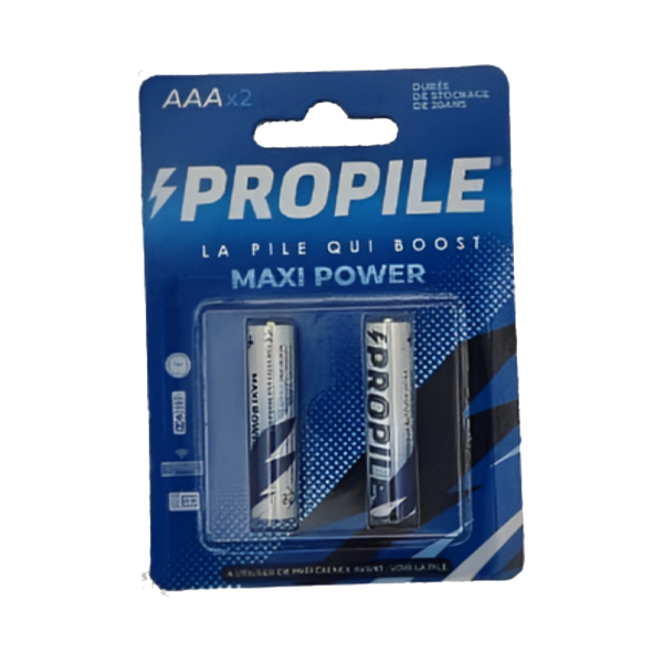 PILE PROPILE MAXI POWER AAA/LR03 PQT DE 2