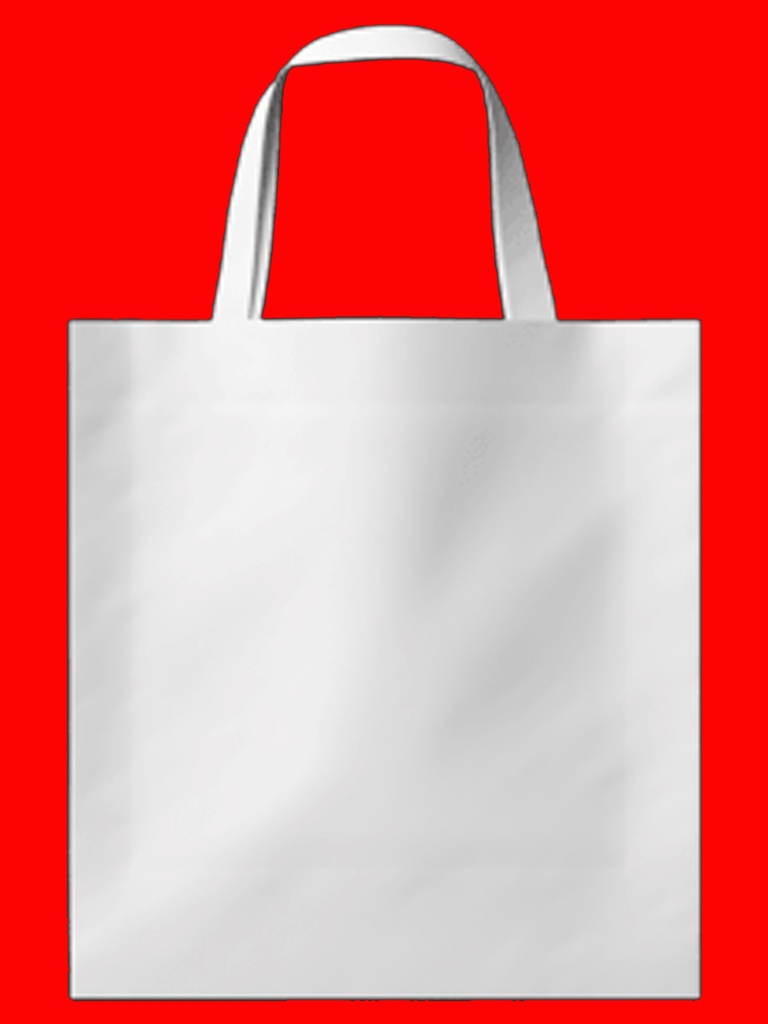 TOTE BAG CFPNI 30*40