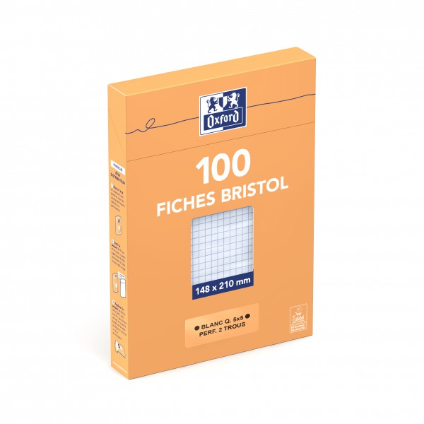 FICHE BRISTOL A5 5/5 PQT DE 100