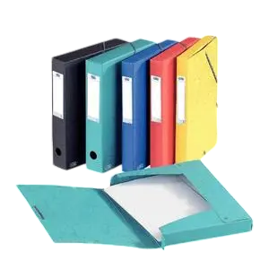 BOITE DE CLASSEMENT EUROBOX POLYPRO DOS 25CM PREMIER