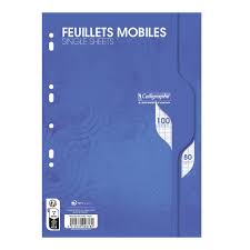 FEUILLE MOBILE A4 100P 80G CALLIGRAPHE 2376C