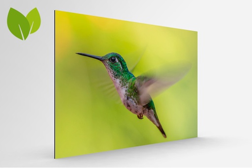 [MU0279] tirage photo 40x60