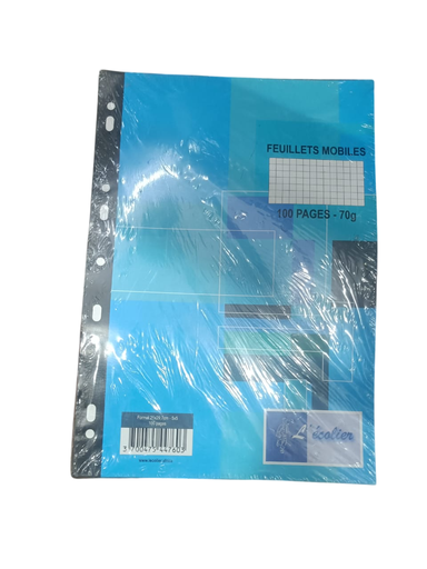 [STO:COPI-03271] COPIE DOUBLE A4 PERFORÉES 200P 70G 5/5 ECOLIER 44757