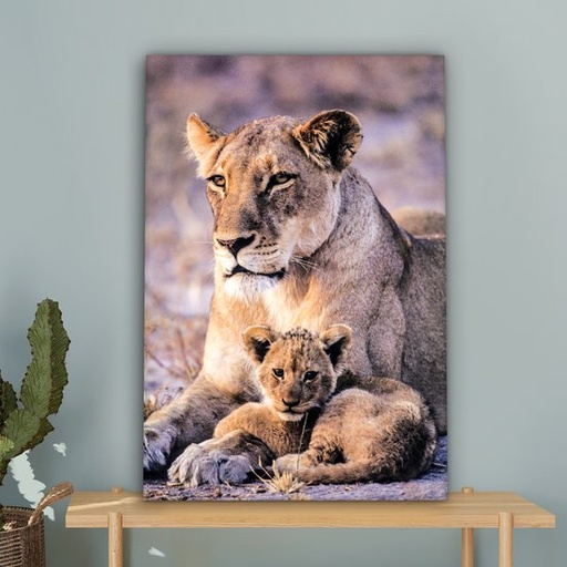 [MU0700] TIRAGE PHOTO 60x80