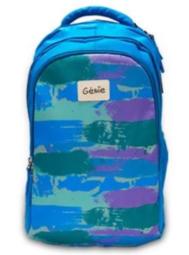 [STO:SAC -08493] SAC A DOS GENIE 17" PAINTERLY